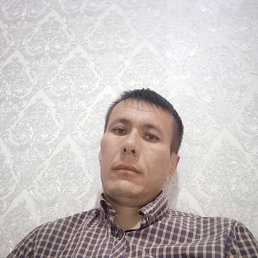 ���� ������, �����, 36 ��� - ��������� 27 �������� 2023