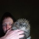 ���� ������, �������, 37 ��� - ��������� 7 �������� 2023