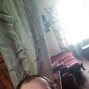 ���� ����, ���������, 50 ��� - ��������� 11 ���� 2023 � ������ ���� ����������