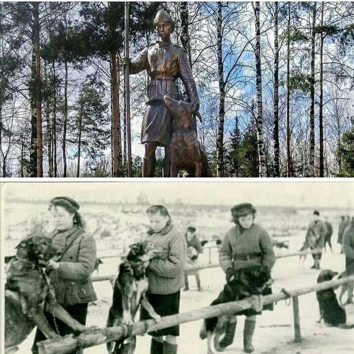 Девичья команда.В Пeтербурге, неподалеку от Тихорецкого проспекта, в парке Сосновка нeдавно ...