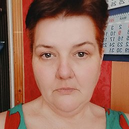 �������, �����-���������, 54 ����