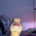 ���� ����, ������, 28 ��� - ��������� 27 ���� 2023 � ������ ���� ����������