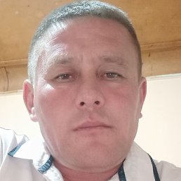 �����, �������, 43 ����