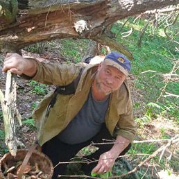 ���, ������, 51 ���