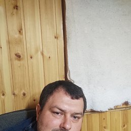 ���� ���������, ������, 41 ��� - ��������� 26 ������� 2023