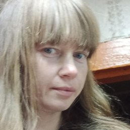 �����, ������, 40 ���