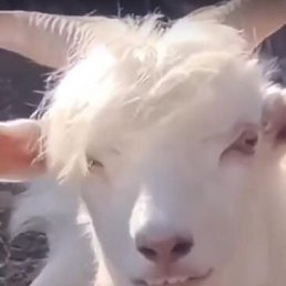 ���� �������, ������, 45 ��� - ��������� 17 ��� 2023