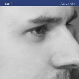 �������, ������, 41 ���