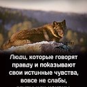 ���� �����, ������, 43 ���� - ��������� 17 �������� 2023 � ������ ���� ����������