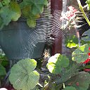 ���� ������� �����, ����, 56 ��� - ��������� 18 ���� 2023 � ������ ���� ����������