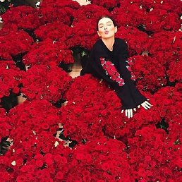 Nigora, ������, 38 ���