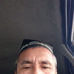 , 56, 