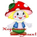 ���� ���������, ���������� - ��������� 26 ������� 2023 � ������ ������ ��������