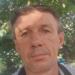 ������, ������, 50 ���