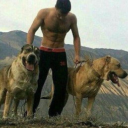 ������, ������, 36 ���