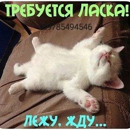 ���� �������, �����������, 39 ��� - ��������� 28 ������� 2023