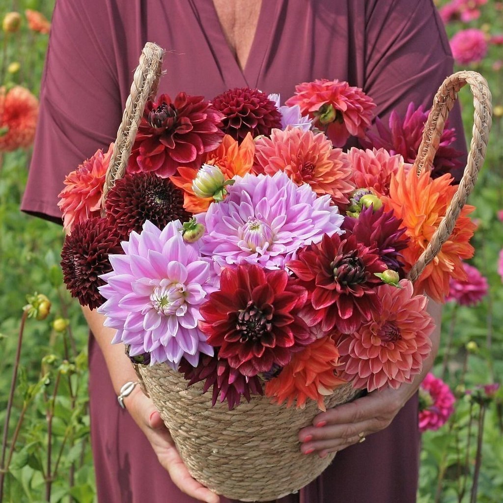 ������� � ��� ��������: ����� ��� �� ���������, ������ ��� ����. ���� ��������� ��������