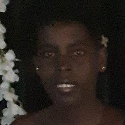 Bintia, �����������, 23 ����