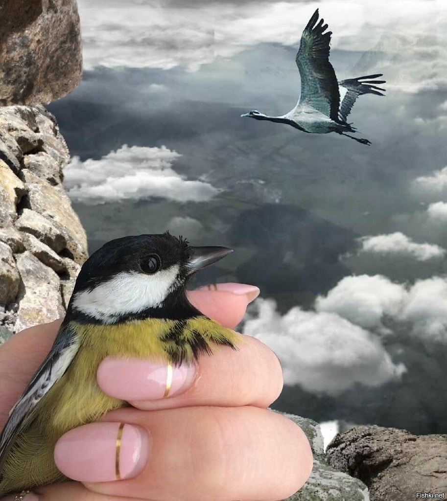   ,   !!  -—  .  -—  .