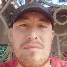 �����, �����, 41 ���