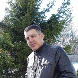 �����, ������, 50 ���