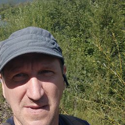 ������, ������, 46 ���