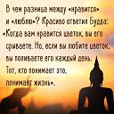  , , 52  -  10  2023    