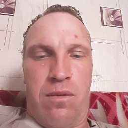 �����, ������������, 41 ���