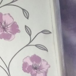 ���������, ������, 62 ����