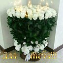 ���� ������, �����-���������, 40 ��� - ��������� 15 ������� 2023