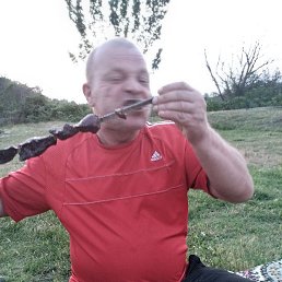 �������, ������, 51 ���