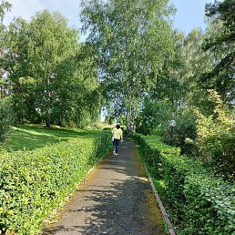 �������, ������ , 38 ���