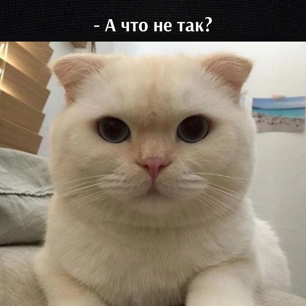       - 18  2023  11:31 - 4