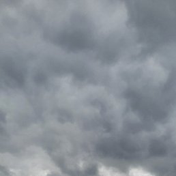 �����, ���������, 47 ���