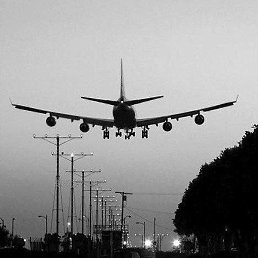 Ali, ������, 37 ���