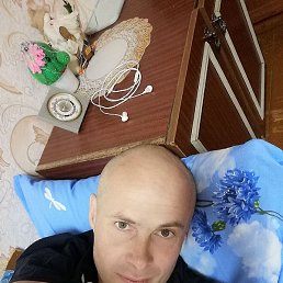 �������, �����������, 46 ���