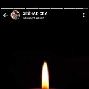 ���� ����, ���������, 43 ���� - ��������� 1 �������� 2023 � ������ ���� ����������