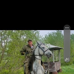 ��������, �����, 53 ����