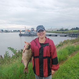 ���� ������, ������, 53 ���� - ��������� 17 ������� 2023