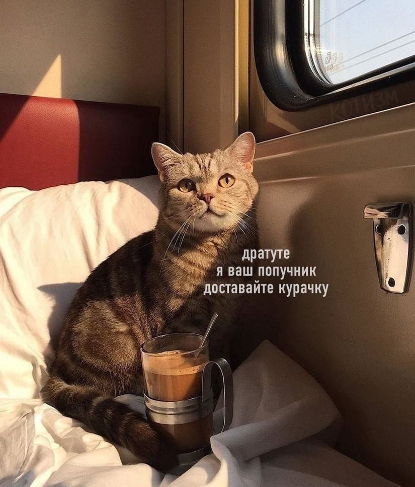    - 1  2023  16:40