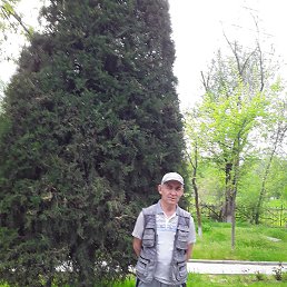 �����������, ��������, 74 ����