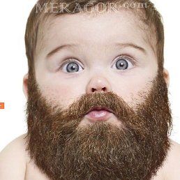 ����, ������, 46 ���