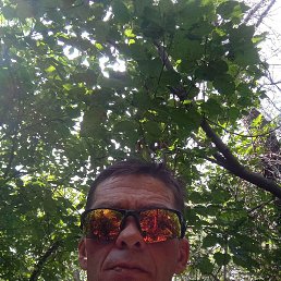 ������, ������������, 49 ���