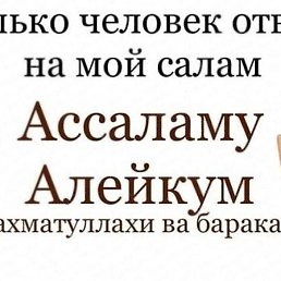 ����, �������, 41 ���