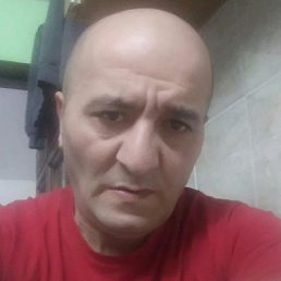 �����, ���������, 50 ���