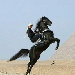 ������, �����, 35 ���