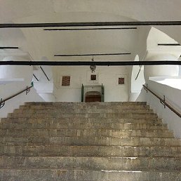 ����, �����-���������, 61 ���