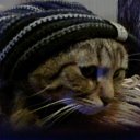 ���� ������, ������ - ��������� 6 ����� 2023 � ������ ���� ����������