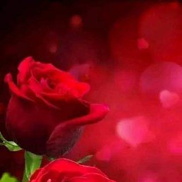 ���� Ali, ������, 41 ��� - ��������� 3 ����� 2023