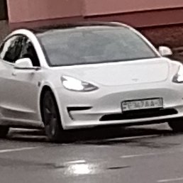 ���������, �������, 21 ���